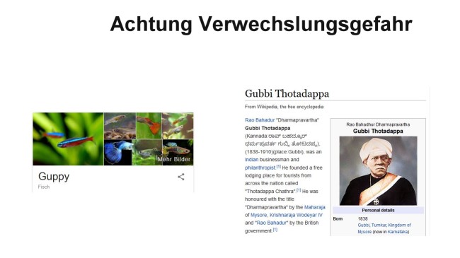 gvsg.jpg