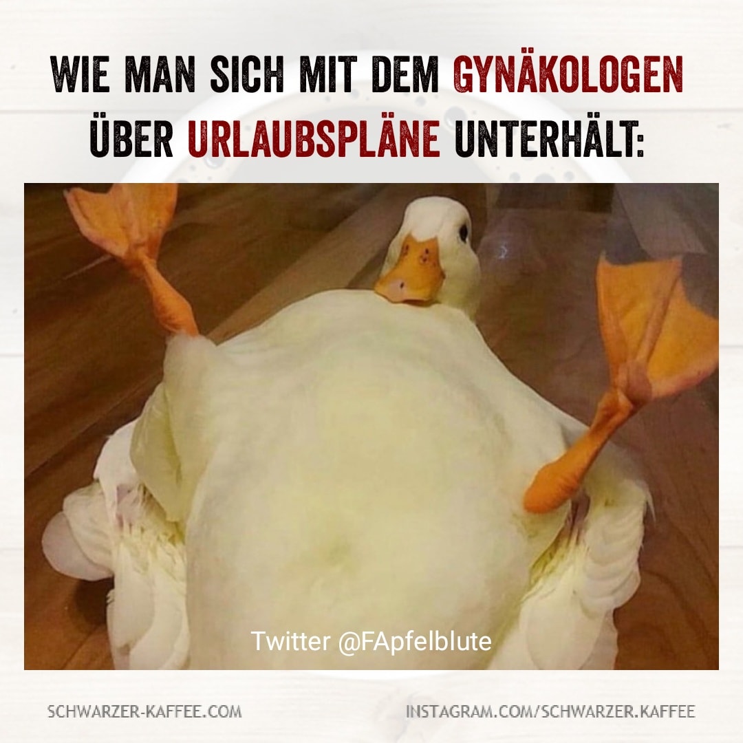 gynäkologe - urlaubspläne.jpg