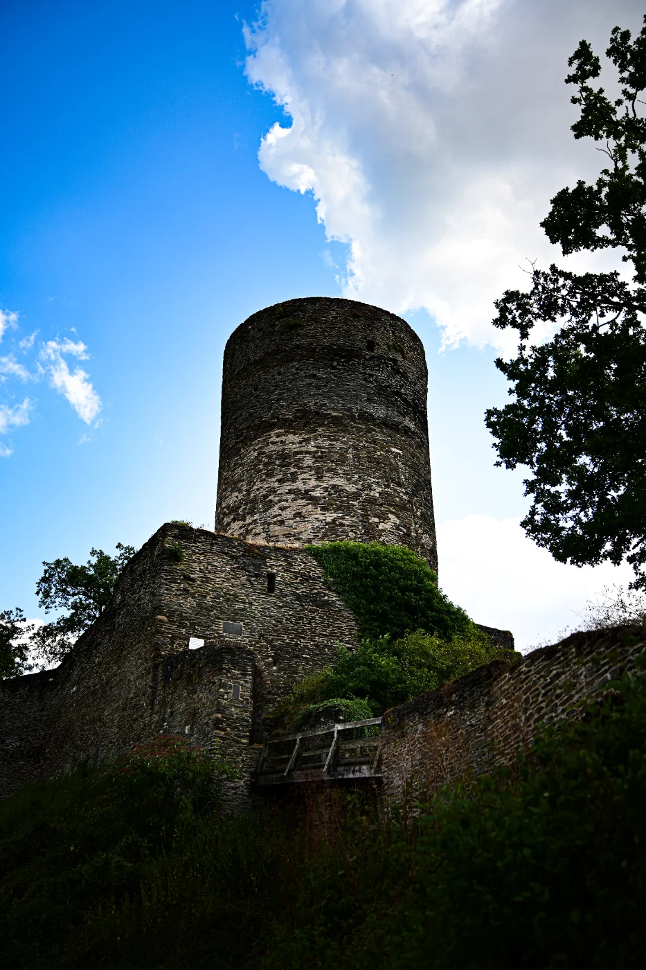 GZ7_8946 (1).webp