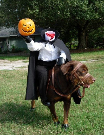 halloween-dog-clothes-14.jpg