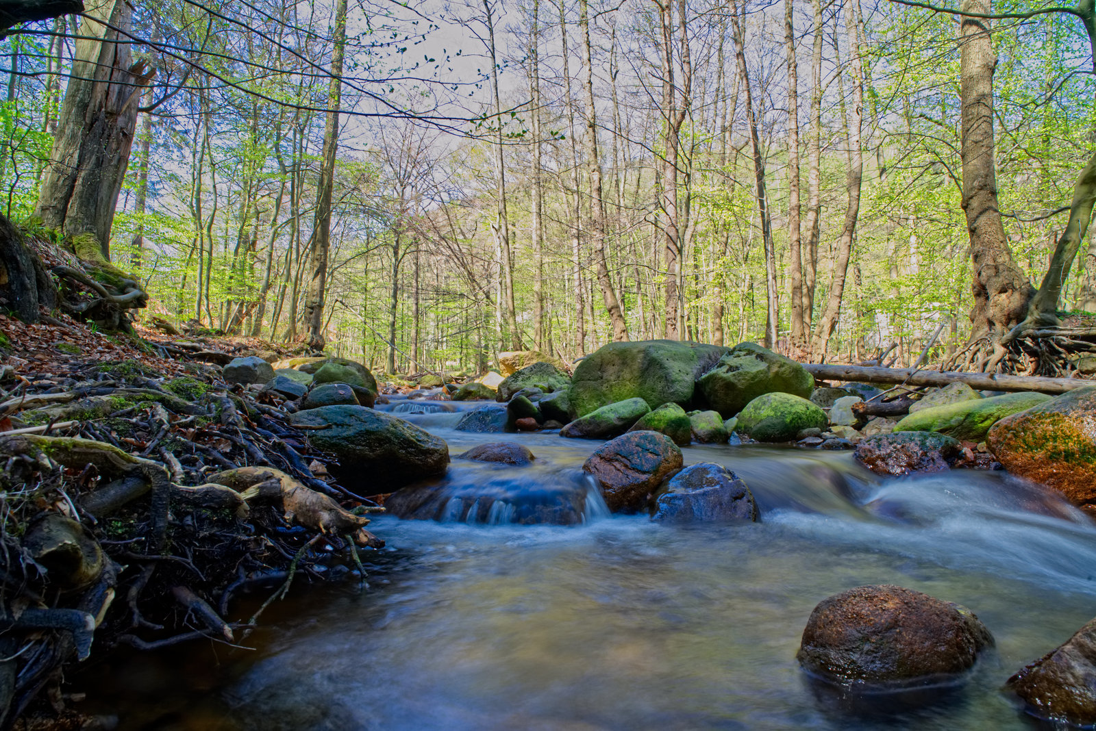 Harz Wasserfall1.jpg