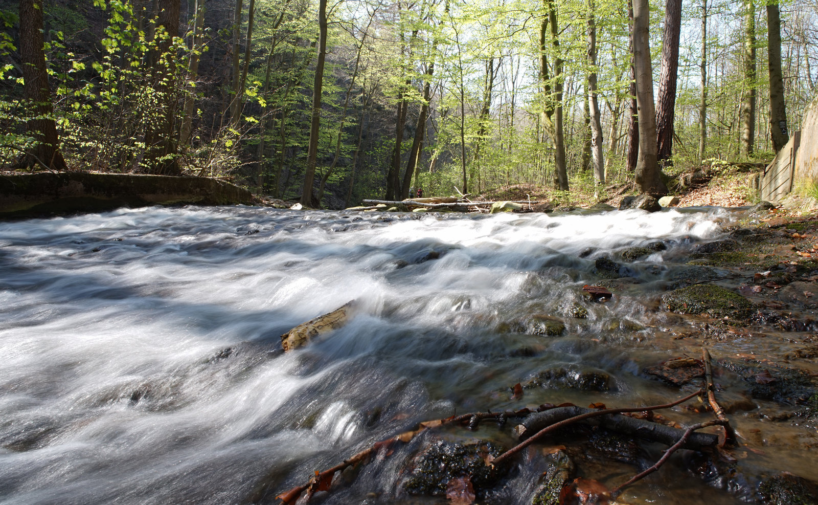Harz Wasserfall2.jpg