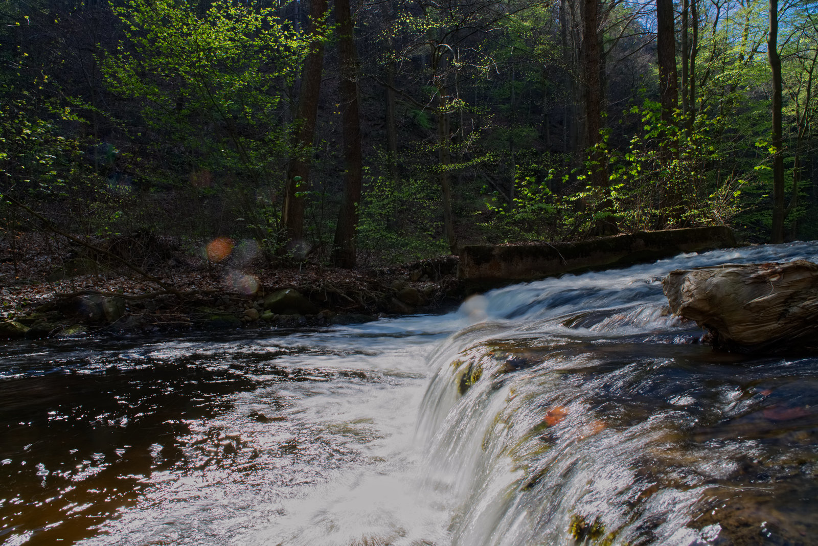 Harz Wasserfall3.jpg