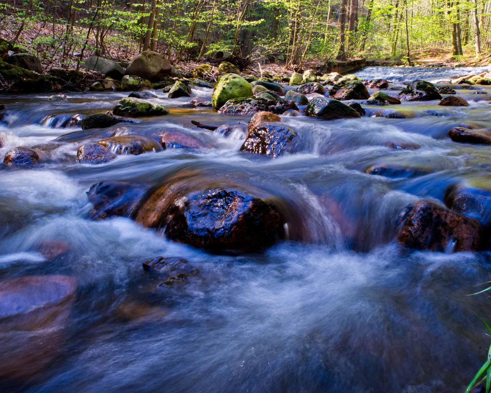 Harz Wasserfall5.jpg