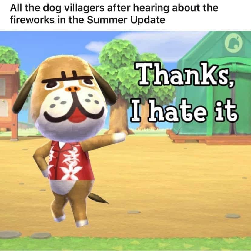 hey poor player - animal crossing fireworks.jpg