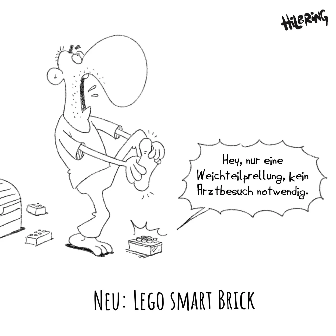 hilbring smart brick.webp