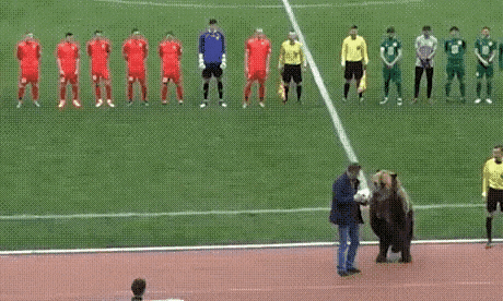 hm-gifdump-290-2.gif