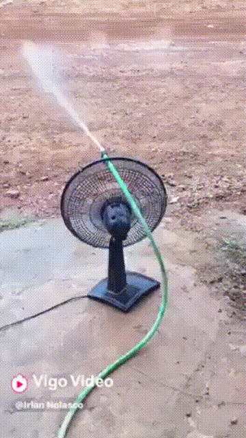 hm-gifdump-290-3.gif