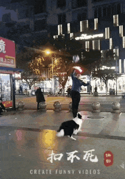 hm-gifdump-378-2-1.gif