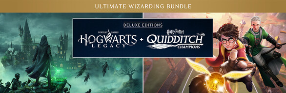 hogwarts quidditch.jpg