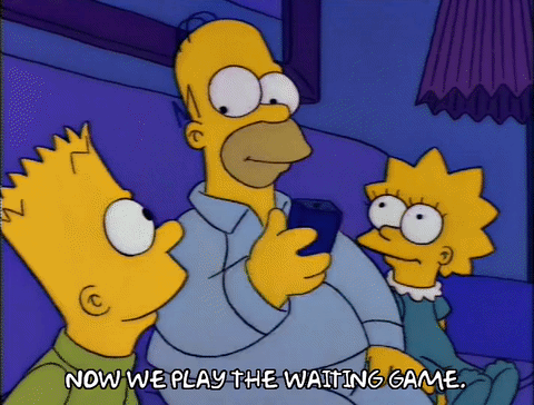 homerwaitinggame1.gif