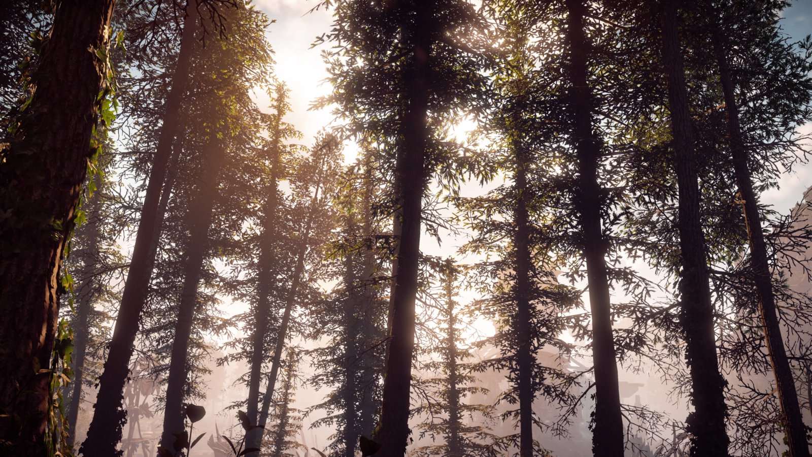Horizon Zero Dawn™_20170226152057.jpg