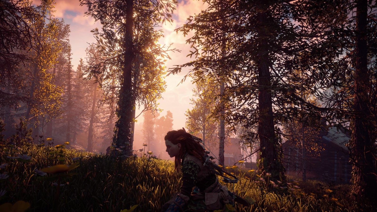 Horizon Zero Dawn™_20170228203040.jpg