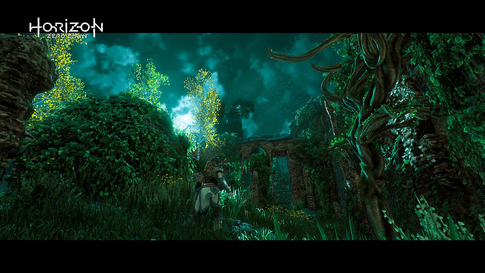 Horizon Zero Dawn™_20170302172127.jpg