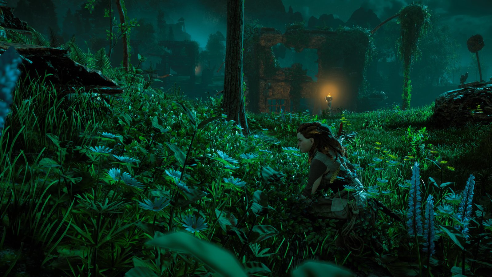 Horizon Zero Dawn™_20170303224717.jpg