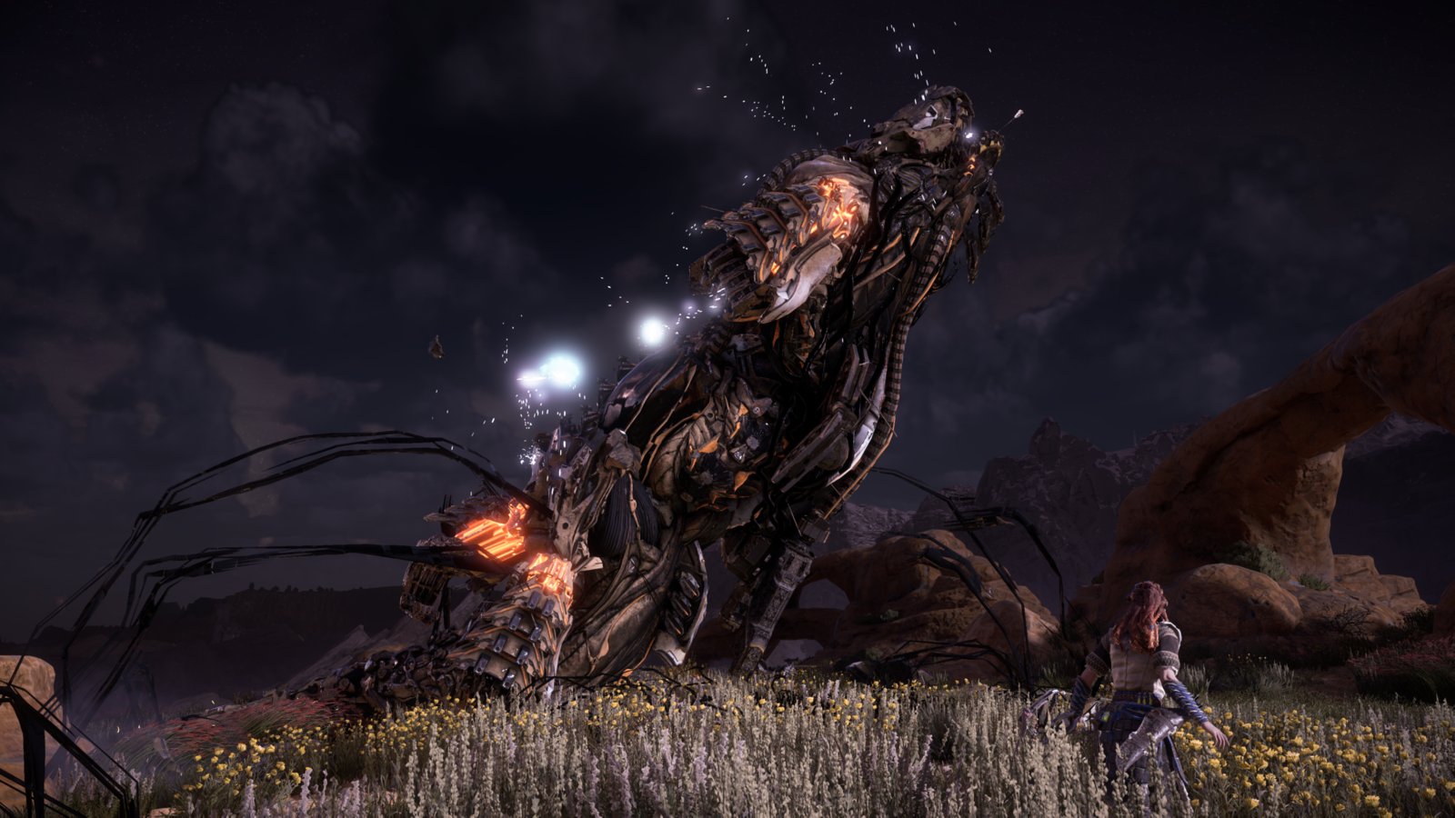 Horizon Zero Dawn™_20170306224756.png