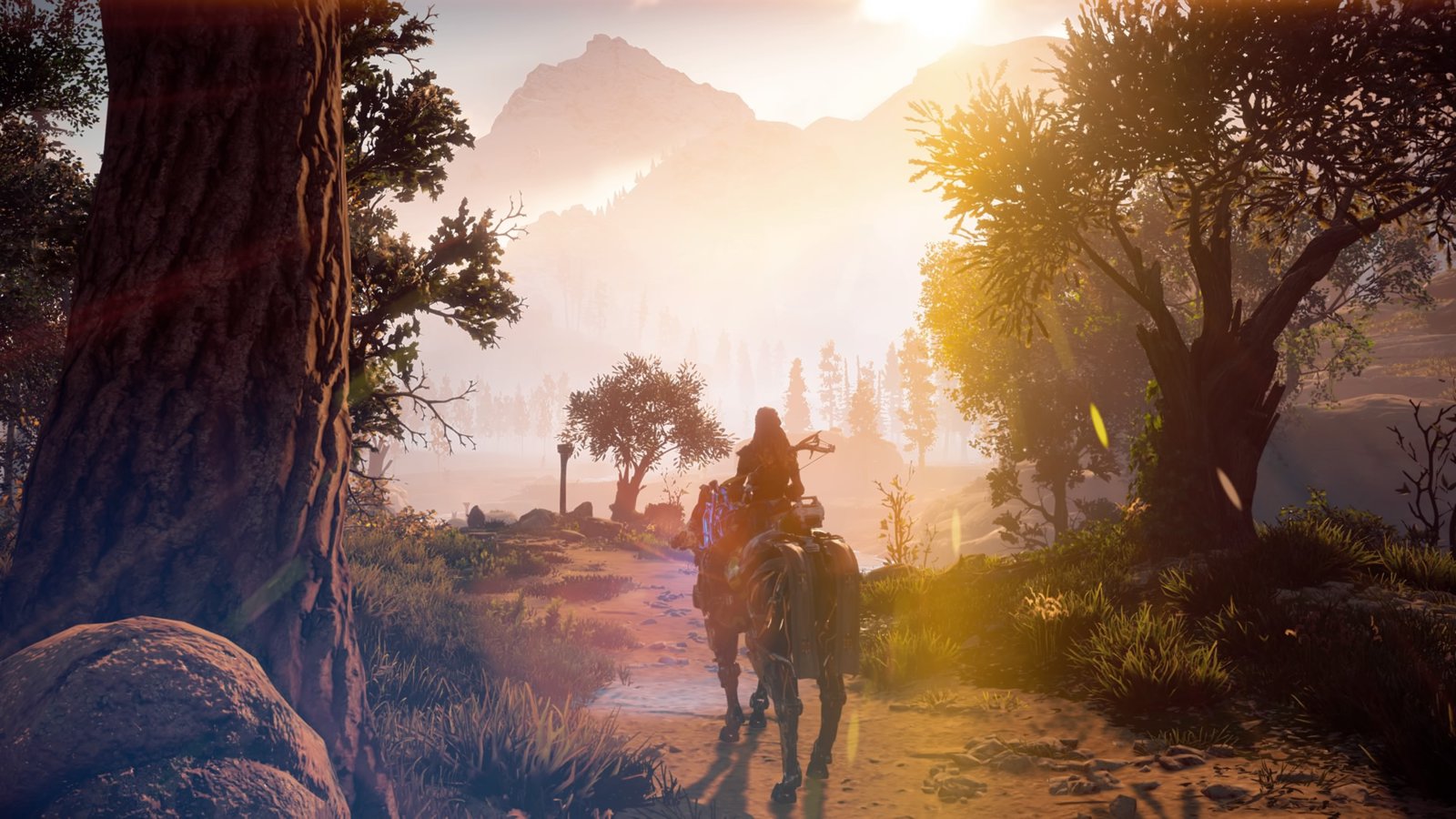 Horizon Zero Dawn™_20170618200654.jpg