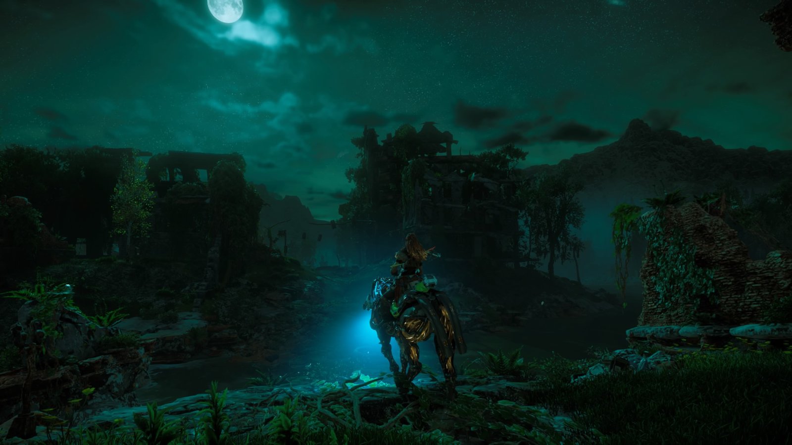 Horizon Zero Dawn™_20170626231922.jpg