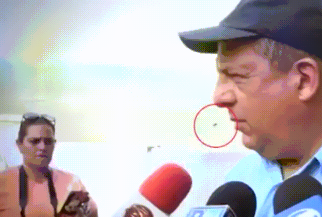 hornoxe.com_gifdump259_3.gif