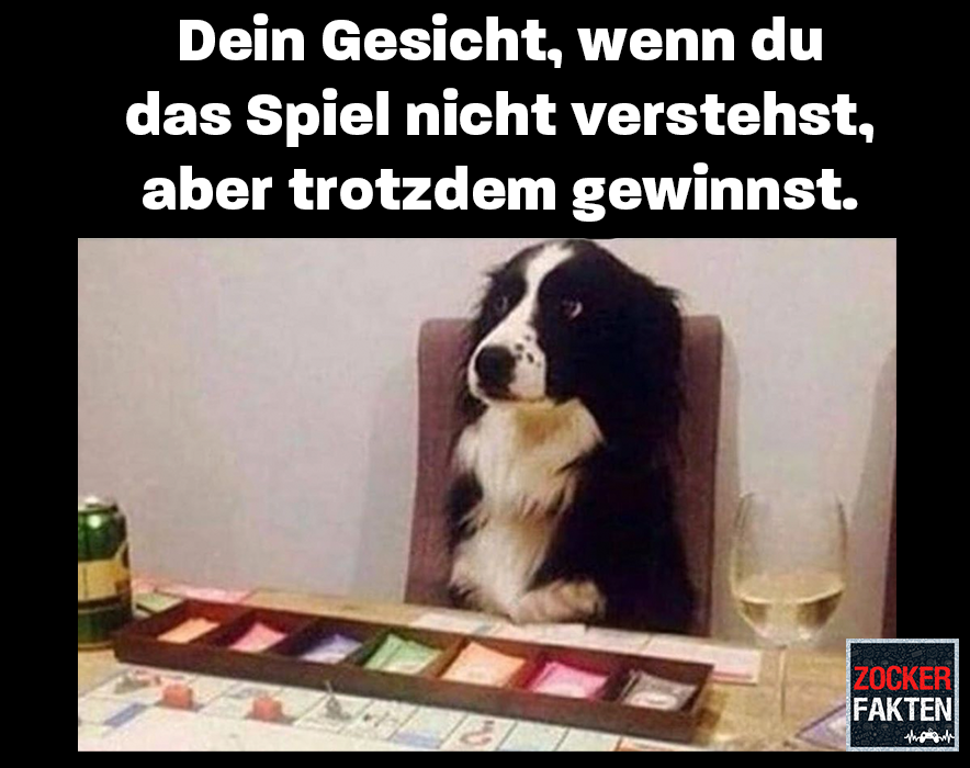 hund gewinnen.png