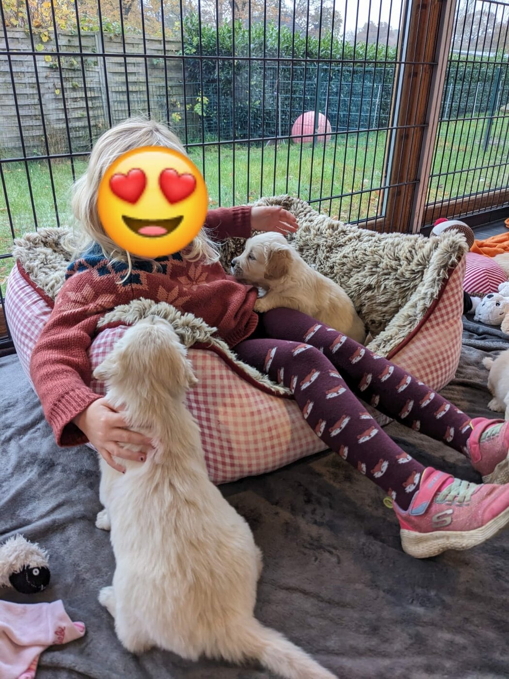 hund1.jpg