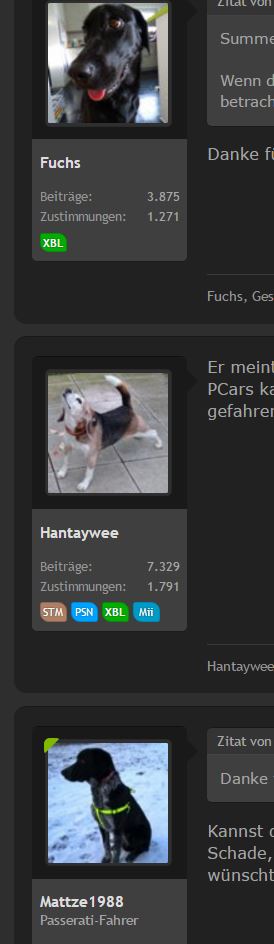 Hundeforum.JPG