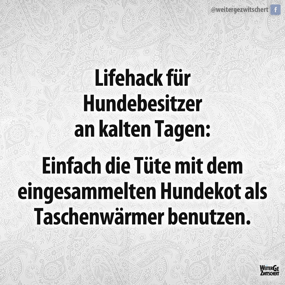 Hundekot.png