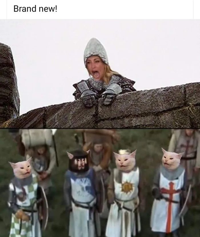 I-fart-in-your-general-direction.jpg