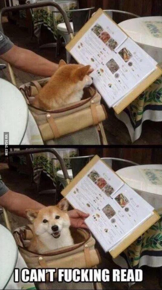 I-laughed-harder-than-necessary.jpg