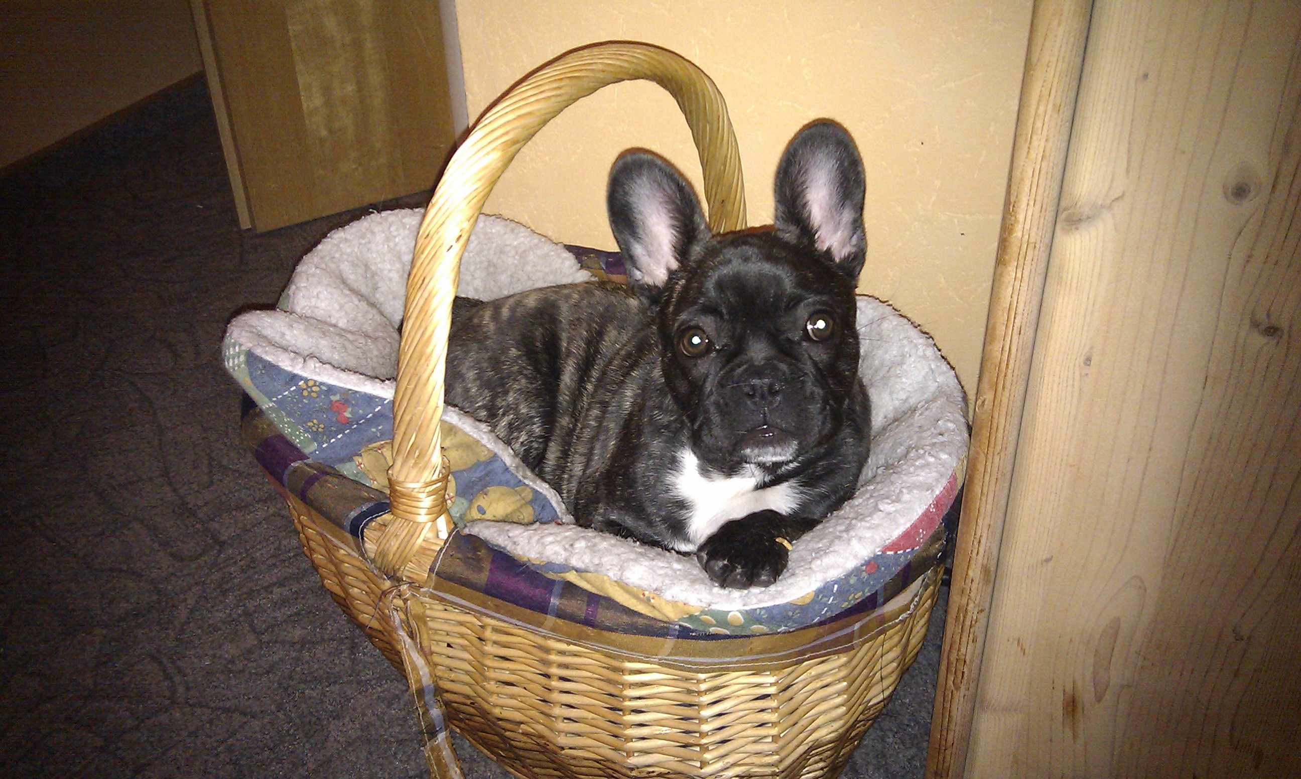 IMAG0193.jpg