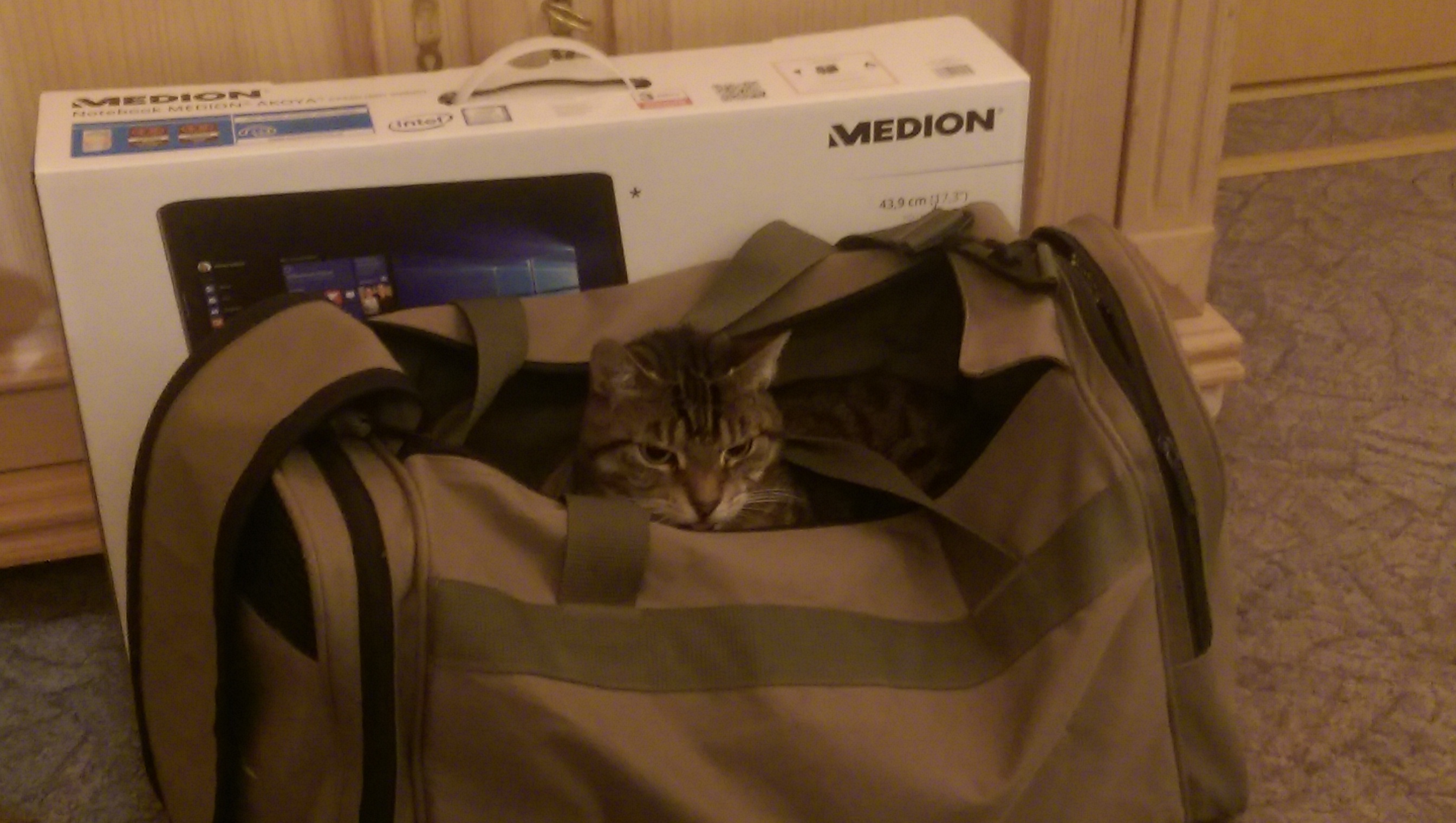 IMAG0336.jpg
