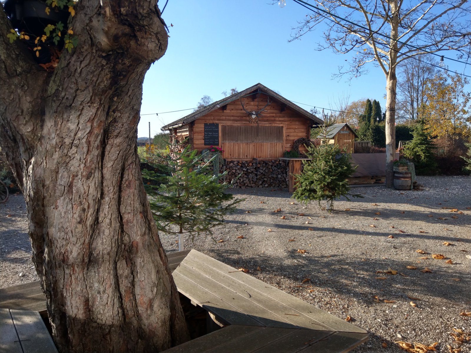 IMAG0775.jpg