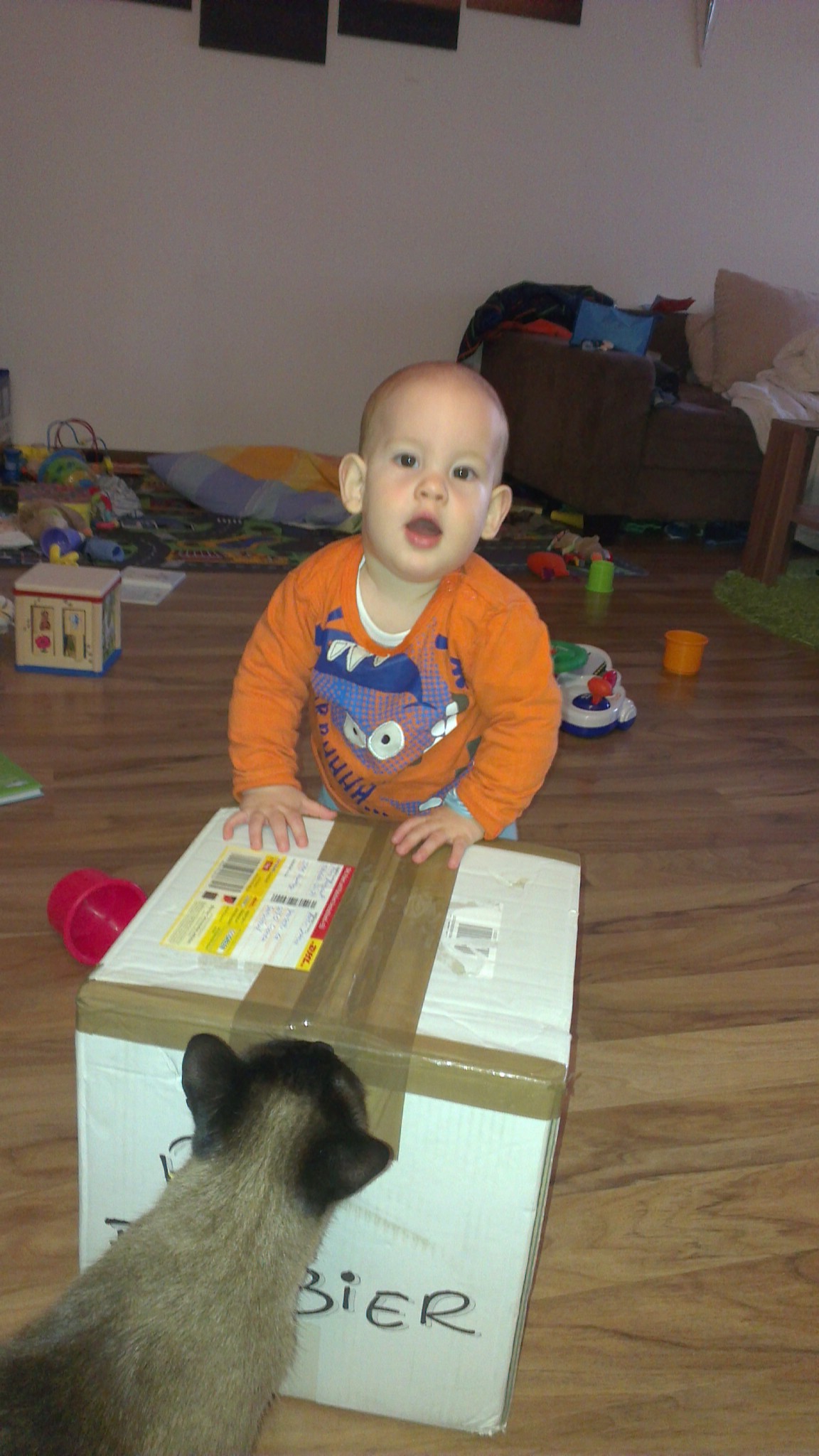 IMAG0832.jpg