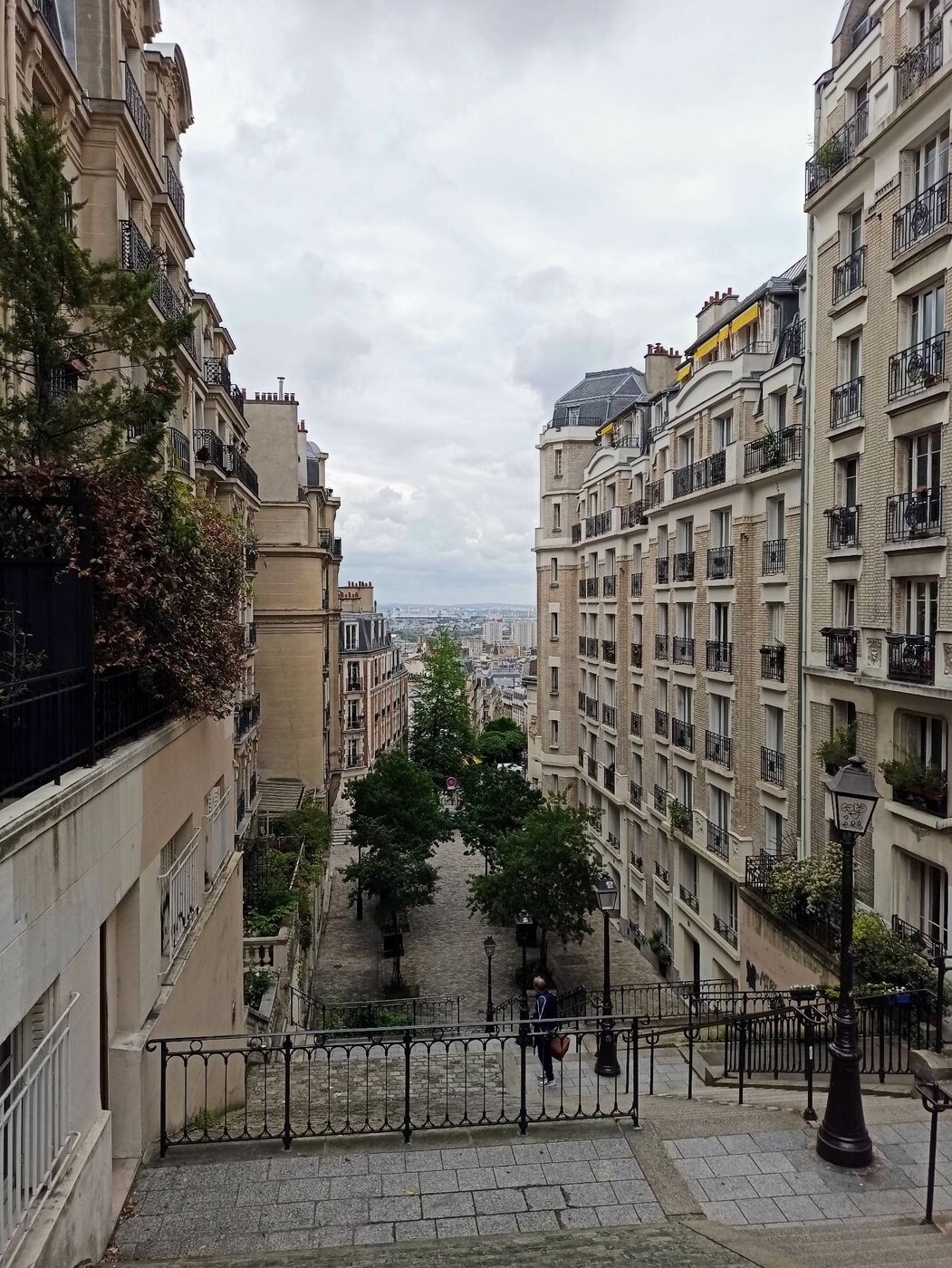 image (8).jpg