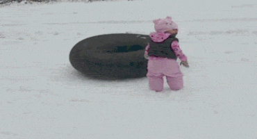 image.gif