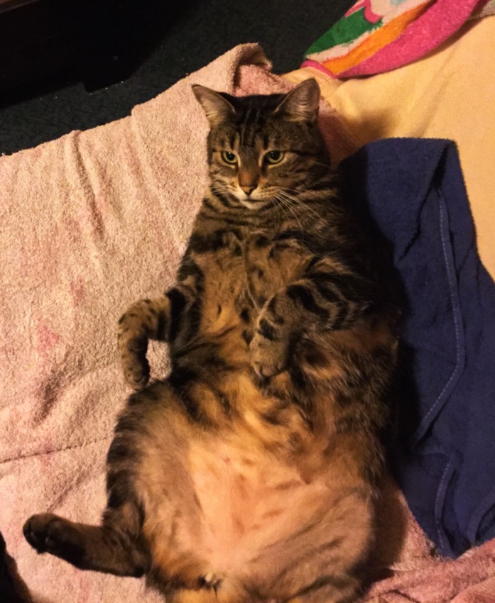 image.jpeg
