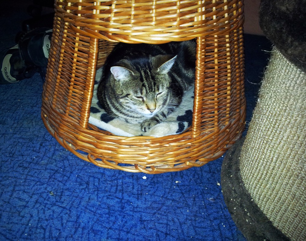 image.jpeg