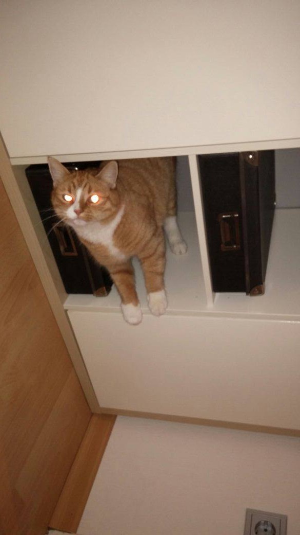 image.jpeg