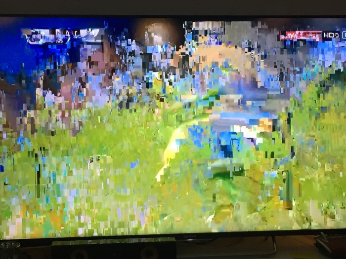 image.jpeg