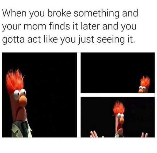image.jpeg