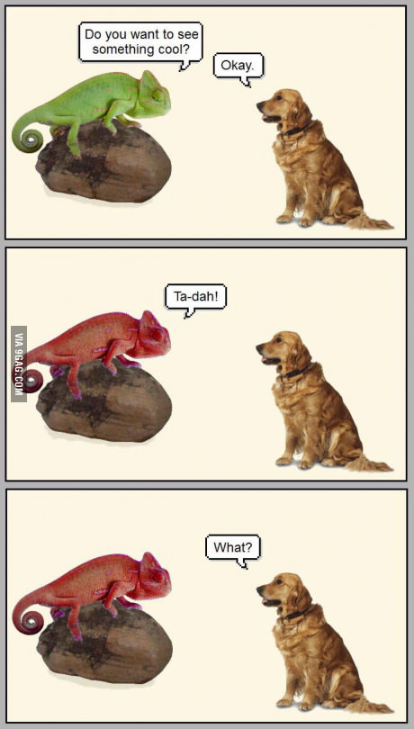 image.jpeg