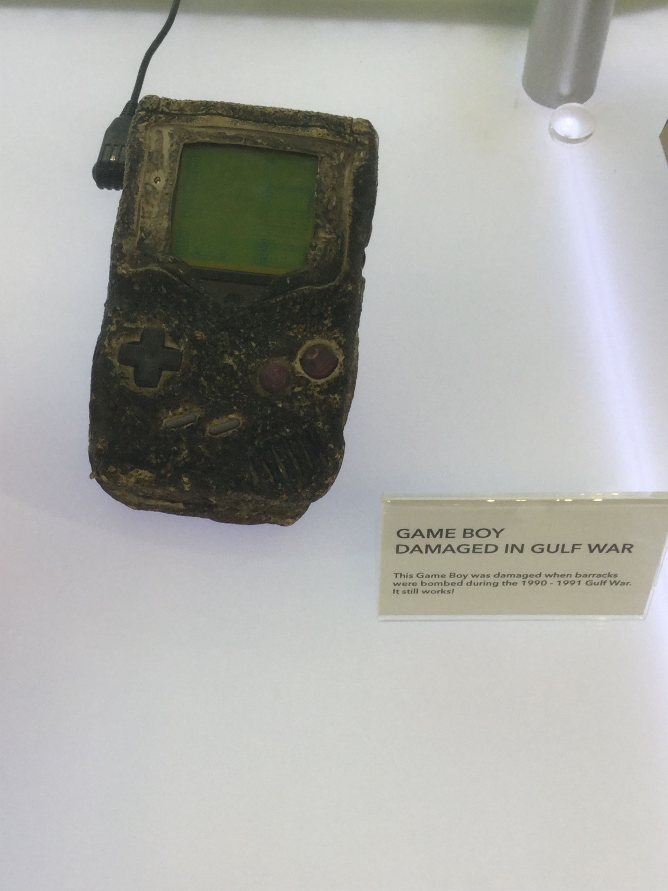 image.jpeg