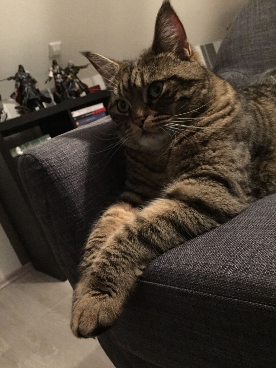 image.jpeg