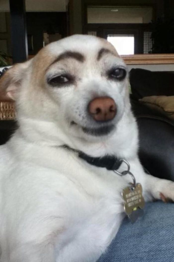 image.jpeg