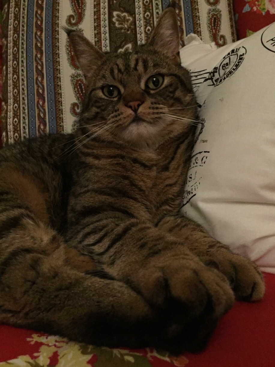 image.jpeg
