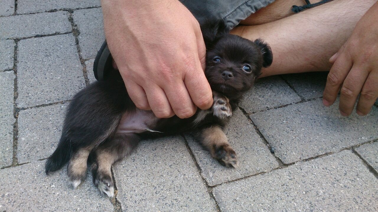 image.jpg