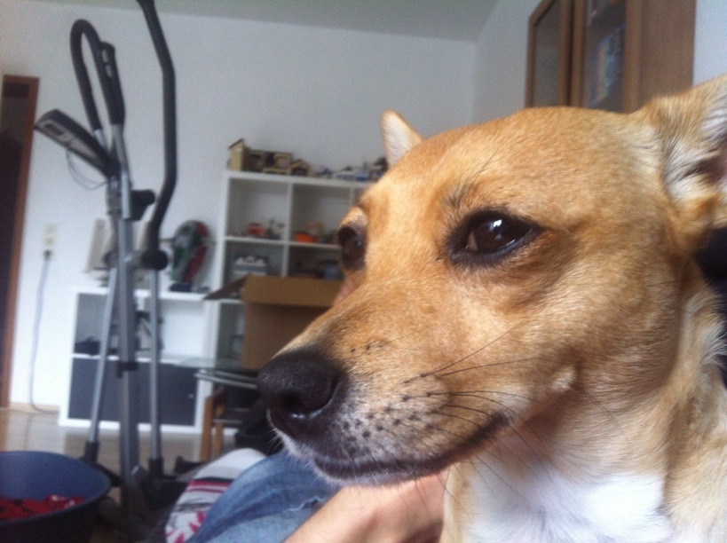 image.jpg