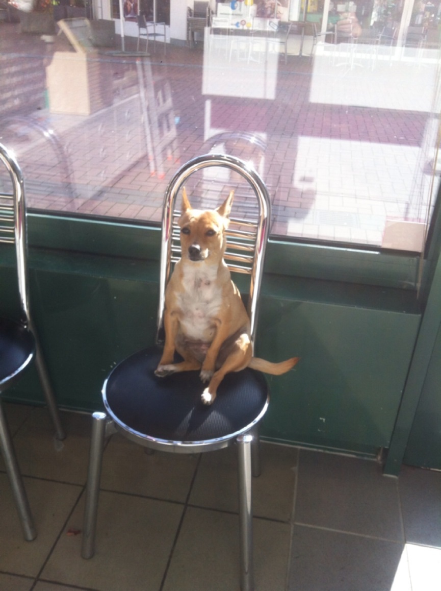 image.jpg