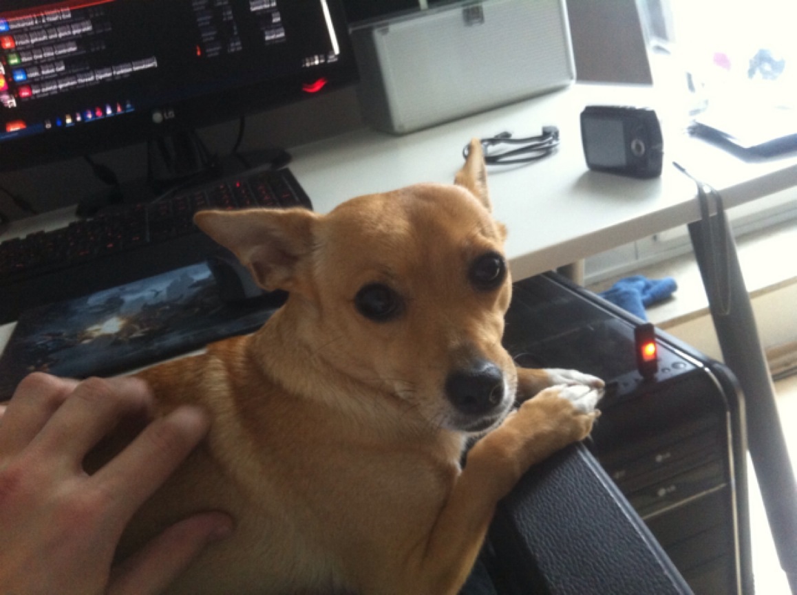 image.jpg