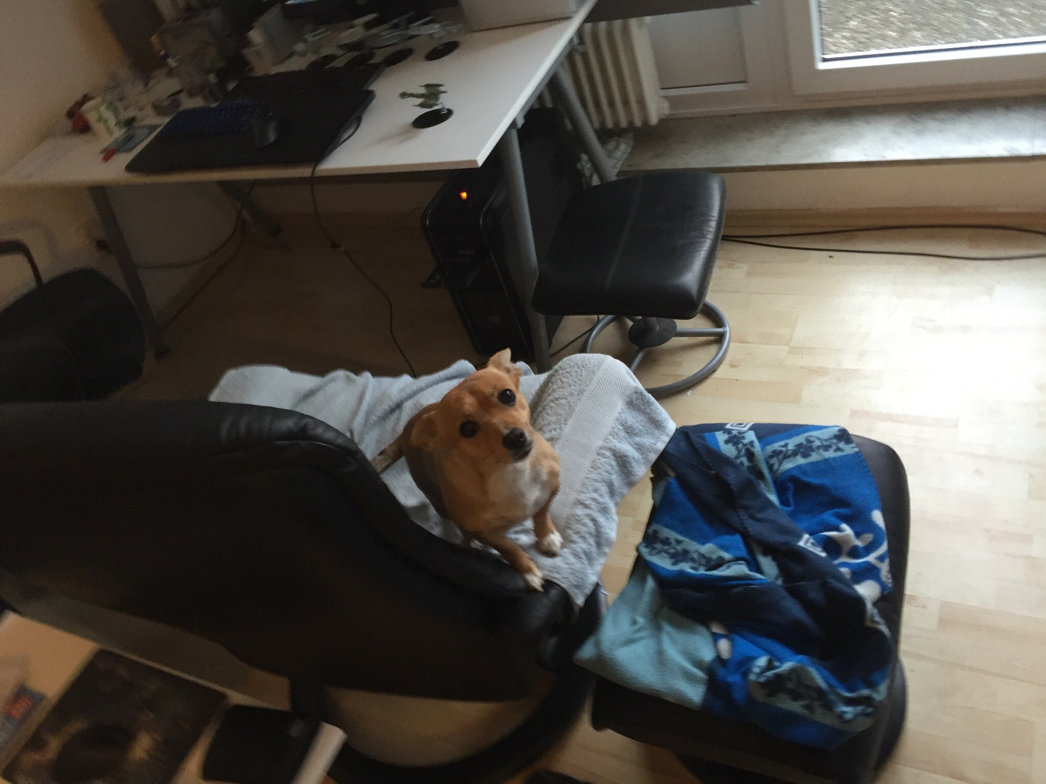 image.jpg